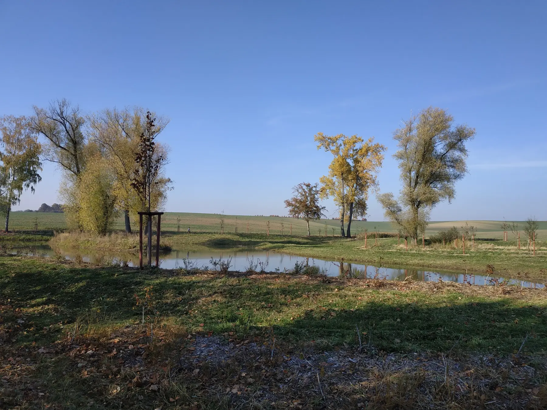 Mokřad a polní cesta - Sekyry, Želeč na Hané (2021)