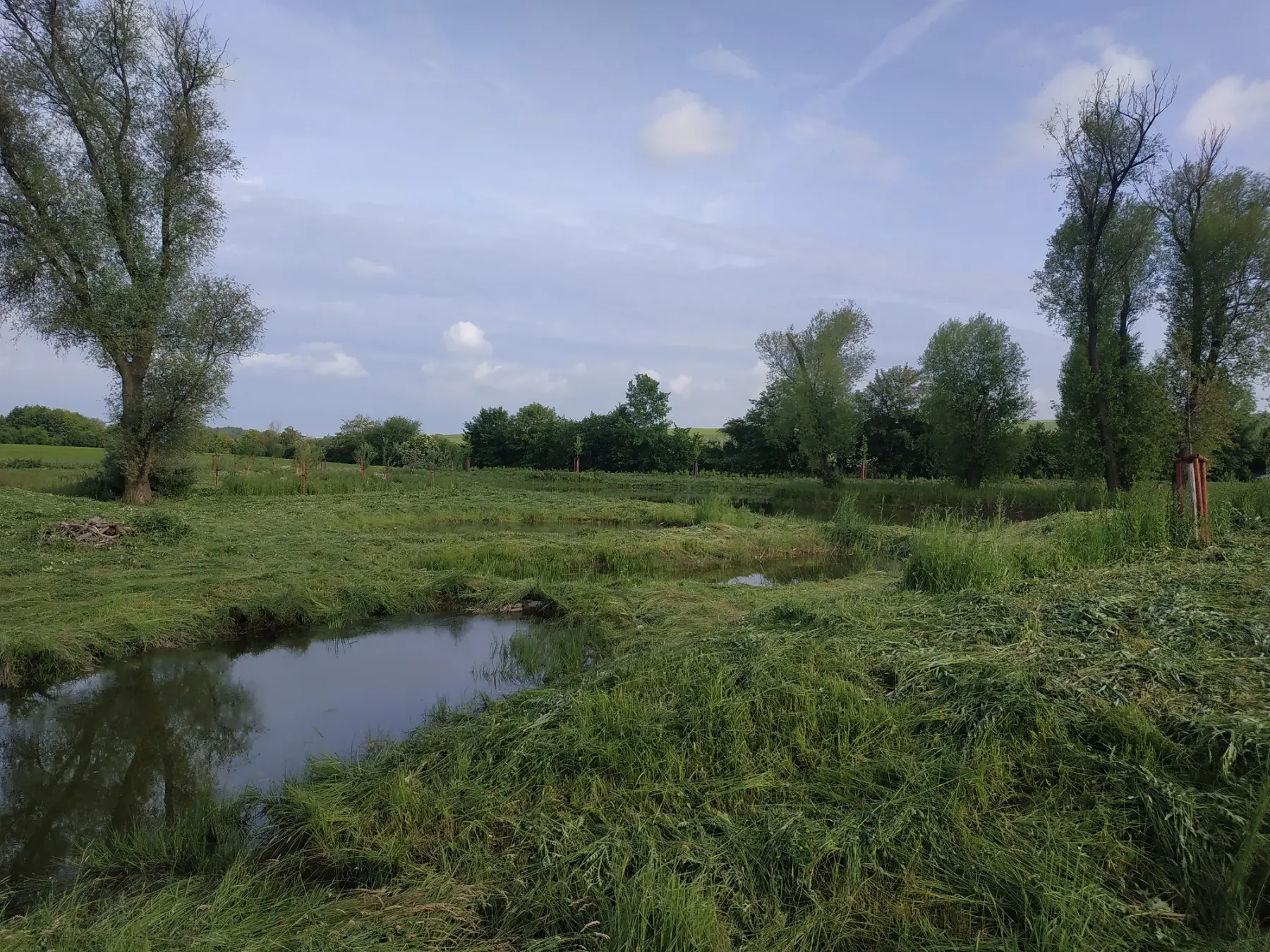 Mokřad a polní cesta - Sekyry, Želeč na Hané (2021)