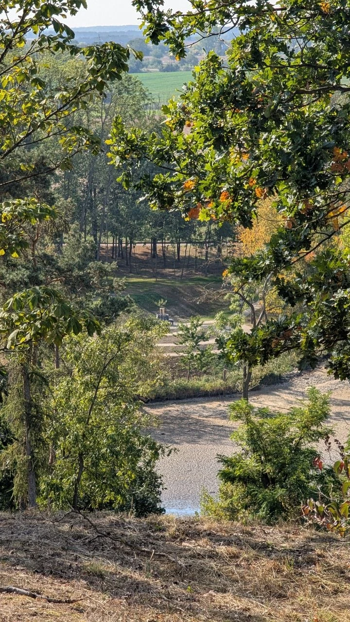 Dubová alej, stezka kolem rybníka, lesopark Špičák a mokřad s bylinkovou zahradou, Plenkovice (2014-2025)