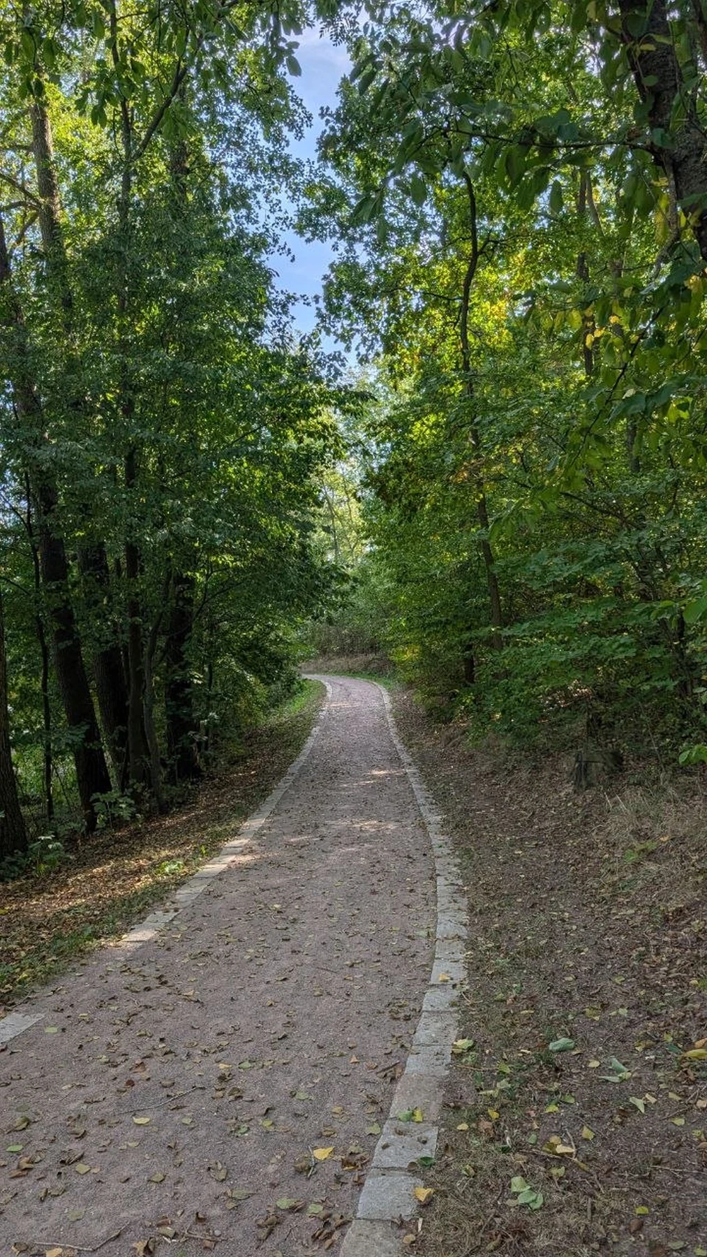 Dubová alej, stezka kolem rybníka, lesopark Špičák a mokřad s bylinkovou zahradou, Plenkovice (2014-2025)