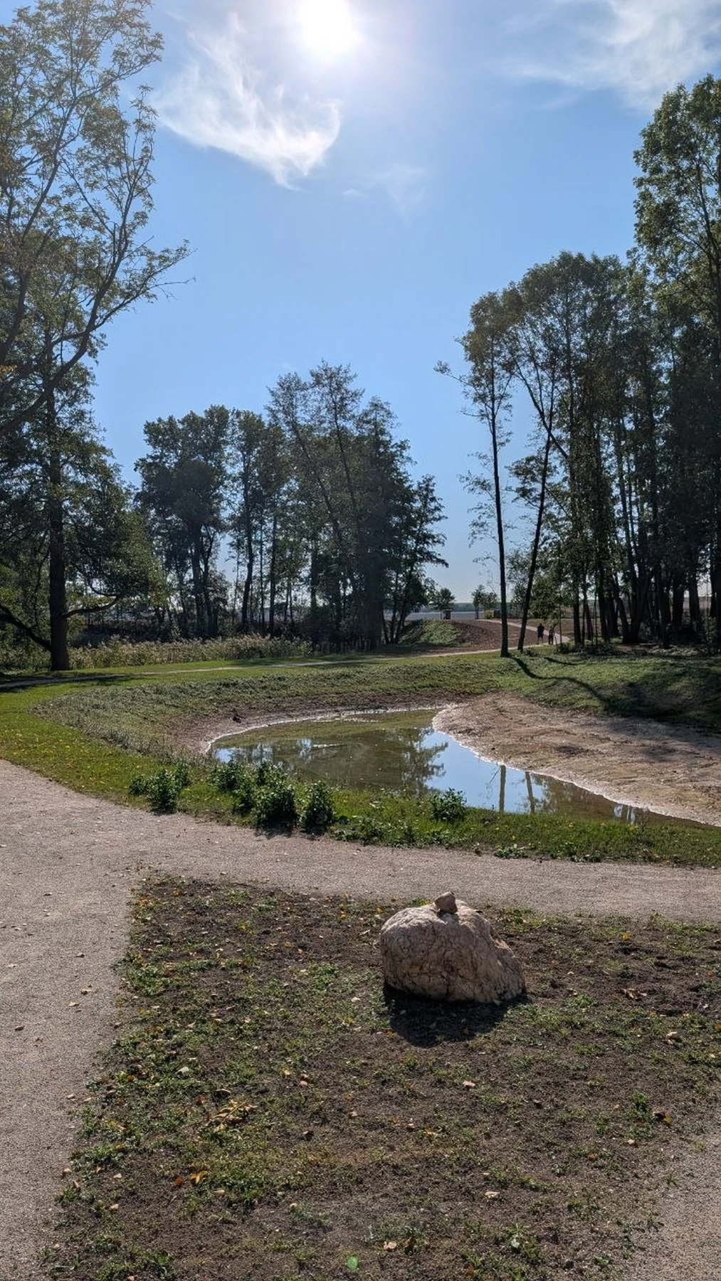 Dubová alej, stezka kolem rybníka, lesopark Špičák a mokřad s bylinkovou zahradou, Plenkovice (2014-2025)